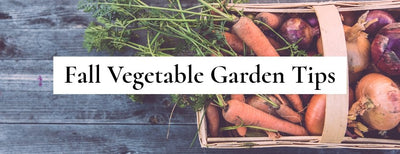 Fall Vegetable Garden Tips