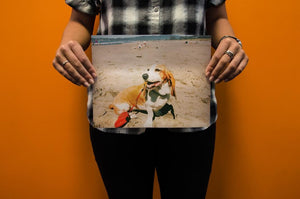 #MyFavoritePhoto - PictureKeeper.com