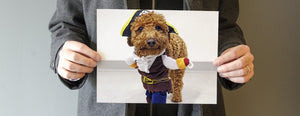 My Favorite Photo - PictureKeeper.com