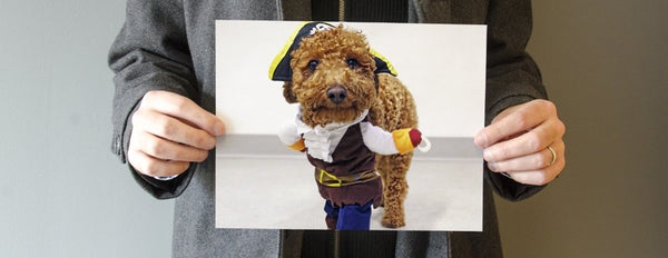 My Favorite Photo - PictureKeeper.com