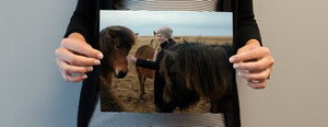 #MyFavoritePhoto - PictureKeeper.com