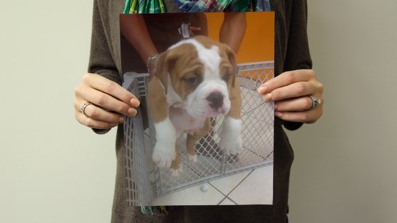 #MyFavoritePhoto - PictureKeeper.com