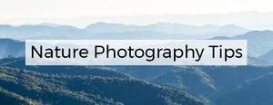 Nature Photography Tips - PictureKeeper.com