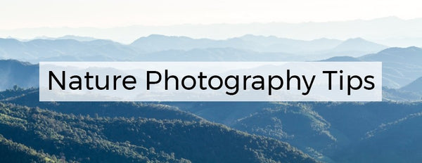 Nature Photography Tips - PictureKeeper.com