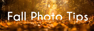 Tips on Taking Fall Photos - PictureKeeper.com