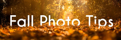 Tips on Taking Fall Photos