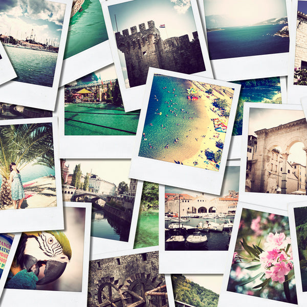 For the Avid Collector