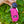 Picture Keeper Keychain USB Drive 2-Capacity - PictureKeeper.com